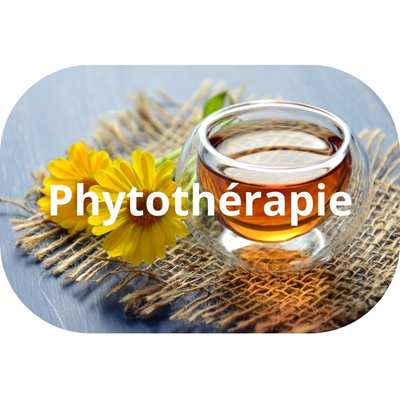 Nos produits de phytoth&eacute;rapie (plantes m&eacute;dicinales) naturel et BIO